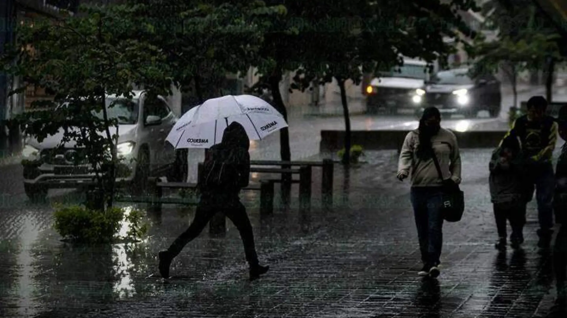 Lluvia René Corrales